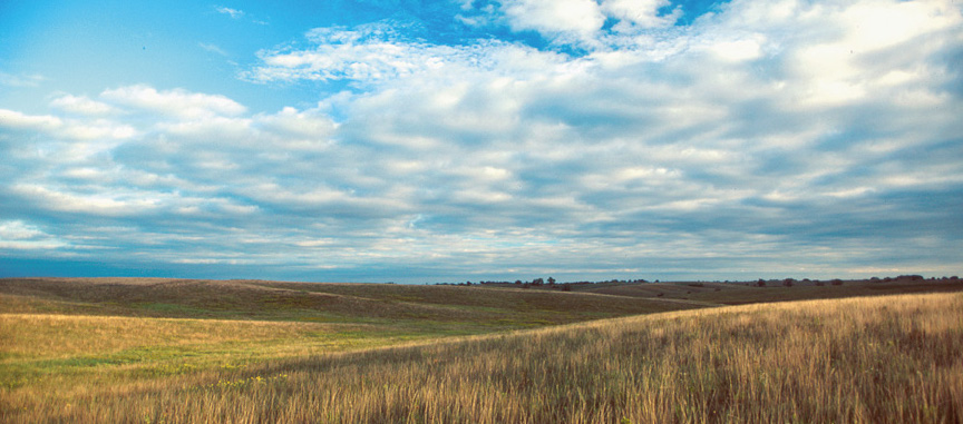 "Image of a Missouri prairie. A vast landscape with yellow rolling hills and a bright blue sky.